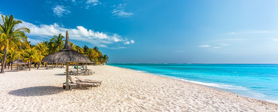 Book your stay, flights, and car with us.